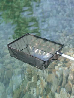 Algenkescher Klein (Art.Nr. 36298)