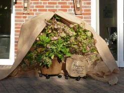 Vlies-Thermomantel, Uni Beige (Art.Nr. Vi36002) 11 Vlies-Thermomantel, Uni Beige (Art.Nr. Vi36002) -Gartenbedarfs Geschäft Wintervlies Thermomantel 5 1280x1280