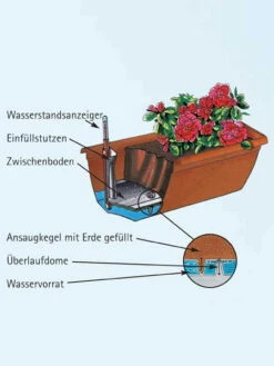 Blumenkasten Aqua Andalucia 6 Blumenkasten Aqua Andalucia -Gartenbedarfs Geschäft aquaandalucia detail 77365 1 77388 1 1280x1280