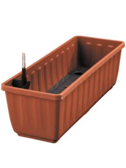 Zuckerblatt, Süßkraut, Süßblatt, Stevia Rebaudiana -Gartenbedarfs Geschäft aquaflor tera 78960 4 1280x1280