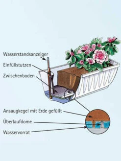 Blumenkasten Aqua Flor Plus -Gartenbedarfs Geschäft aquaflorplus detail 77344 1 77361 1 1280x1280