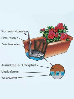 Blumenkasten Aqua Toscana 6 Blumenkasten Aqua Toscana -Gartenbedarfs Geschäft aquatoscana detail 77392 1 77398 1 1280x1280