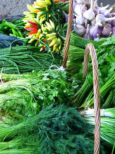 Längst Vergessene Kräuter Aus Omas Kräutergarten 1 Längst Vergessene Kräuter Aus Omas Kräutergarten