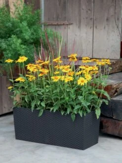 Blumenkasten Rato Case In Flechtoptik -Gartenbedarfs Geschäft blumenkasten rato square be 1280x1280
