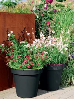 Pflanzkübel E&K Bicolor -Gartenbedarfs Geschäft eundk bicolor rund57fc9f0e47970 1280x1280