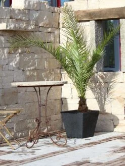 Pflanzkübel Geflecht-Dekor -Gartenbedarfs Geschäft flechtkuebel eckig niedrig57ebb4ed38d1b 1280x1280