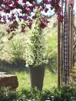 Pflanzkübel Geflecht-Dekor -Gartenbedarfs Geschäft flechtkuebel rund hoch bepf 1280x1280