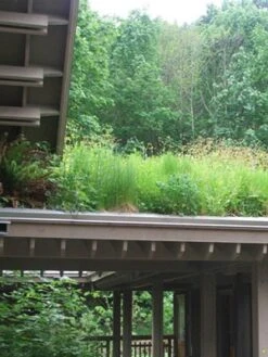 Gründach-Paket Für 15 Qm Dachfläche -Gartenbedarfs Geschäft gruendachpaket carport 1280x1280