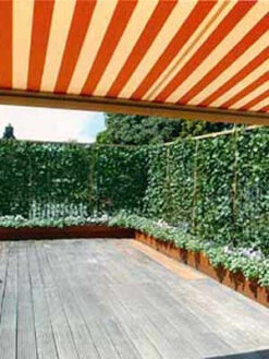 Hedera Helix 'Woerneri' - Immergrüner Efeu - XXL-Produkt 9 Hedera Helix 'Woerneri' - Immergrüner Efeu - XXL-Produkt -Gartenbedarfs Geschäft hecke und balkon j1 78685 4 1280x1280