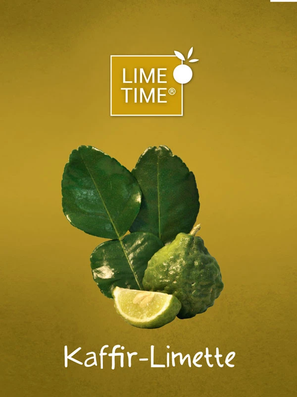 Limettenbaum 'Kaffir-Limette' - Lime Time® 2 Limettenbaum 'Kaffir-Limette' - Lime Time® – Bild 2