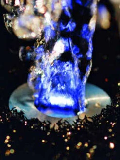 LunaLed 6s Von OASE (Art.Nr.50114) -Gartenbedarfs Geschäft lunaled6s 2 75835 1 75836 1 1280x1280