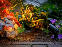 Garten-Spotstrahler 'Neso' Von Garden-Lights (Art.Nr. 2606061) -Gartenbedarfs Geschäft neso 3 1280x1280