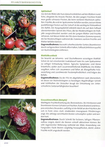 BdB-Handbuch ''Obstgehölze'' 4 BdB-Handbuch ''Obstgehölze'' – Bild 4
