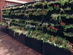 Overgrowing Mat Von Velda (Art.Nr.Vel127590) -Gartenbedarfs Geschäft overgrowing mat beispiel 1280x1280