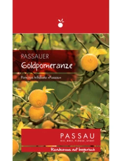 Passauer Goldpomeranze, Poncirus Trifoliata 'Passau' 3 Passauer Goldpomeranze, Poncirus Trifoliata 'Passau' -Gartenbedarfs Geschäft passauer goldpomeranze 1280x1280