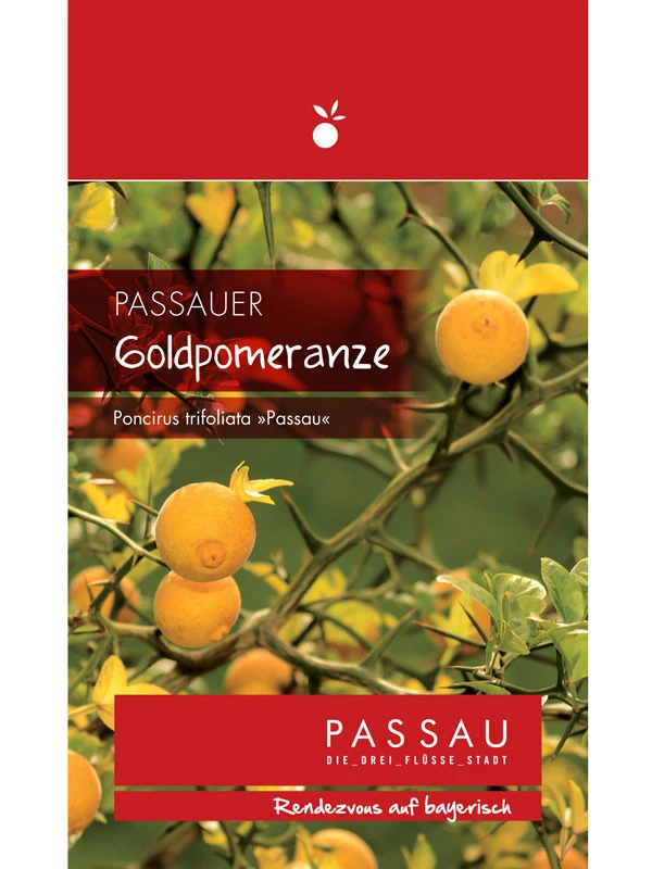Passauer Goldpomeranze, Poncirus Trifoliata 'Passau' 2 Passauer Goldpomeranze, Poncirus Trifoliata 'Passau' – Bild 2