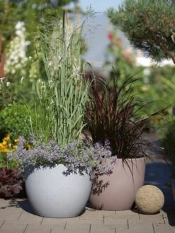 Pflanzkübel Rimini -Gartenbedarfs Geschäft pflanzkuebel rimini stimmun 1280x1280