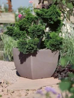 Pflanztopf Ravenna -Gartenbedarfs Geschäft pflanztopf ravenna stimmung 1280x1280