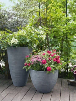 Pflanzkübel Rund Rillentopf -Gartenbedarfs Geschäft rillentopf rund bepflanzt 1280x1280