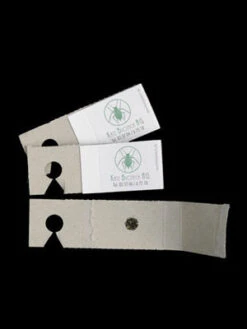 Schlupfwespe (Art.Nr. KB3056) -Gartenbedarfs Geschäft schlupfwespe versand verpac 80549 2 1280x1280