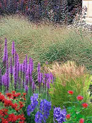 Schnitt-Stauden Sortiment II (12 Stück) 1 Schnitt-Stauden Sortiment II (12 Stück)