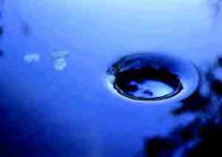 AquaSkim 40, Oberflächenabsauger Von OASE (Art.Nr.56907) -Gartenbedarfs Geschäft skimmer j1 1280x1280