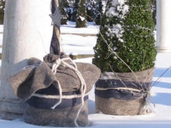 Winterschutz Schafwollmatte Aus Reiner Schafwolle -Gartenbedarfs Geschäft steingrau schafswollmatte 1280x1280