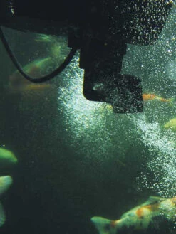 SwimSkim 50 Von OASE (Art.Nr.50170) -Gartenbedarfs Geschäft swimskim2 1280x1280