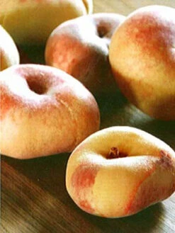 Tellerpfirsich, Plattpfirsich Paraguayo -Gartenbedarfs Geschäft tellerpfirsich j1 1280x1280