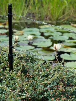 Ultra Protector Von Velda (Art.Nr.Vel128026) -Gartenbedarfs Geschäft ultraprotector 2 1280x1280