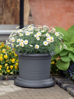 Untersetzer Mit Rollen -Gartenbedarfs Geschäft untersetzer rollen stimmung 1280x1280