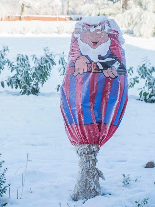 Winterschutz-Vlieshaube "blau-rot" (Art.Nr. Vi29136) 3 Winterschutz-Vlieshaube "blau-rot" (Art.Nr. Vi29136) – Bild 3