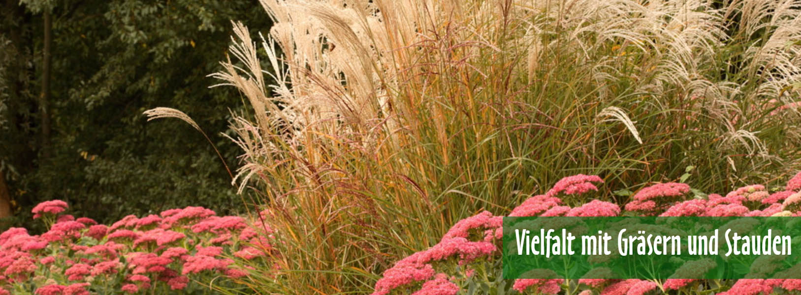 Gartenbedarfs Geschäft -Gartenbedarfs Geschäft GHJGHJ